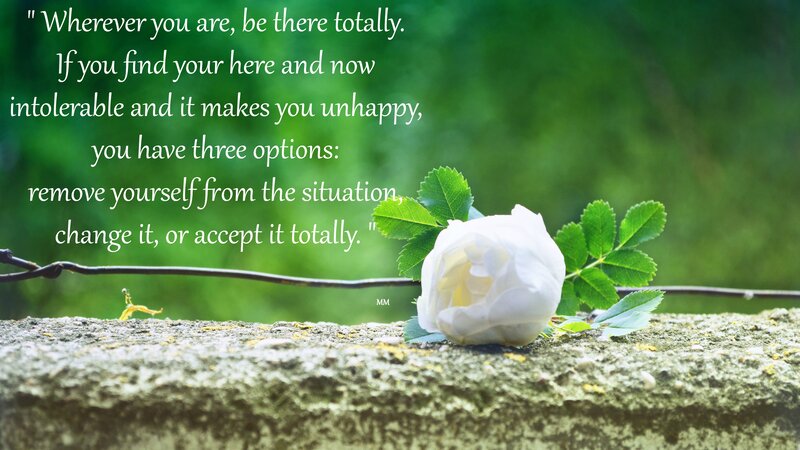 White Rose on Stone