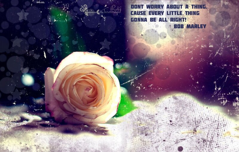 White Rose on Textured Surface