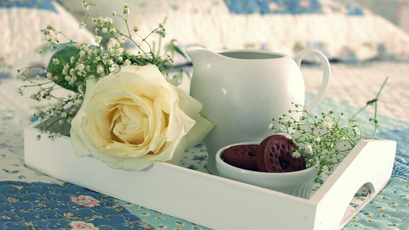 White Rose on Tray — Serene