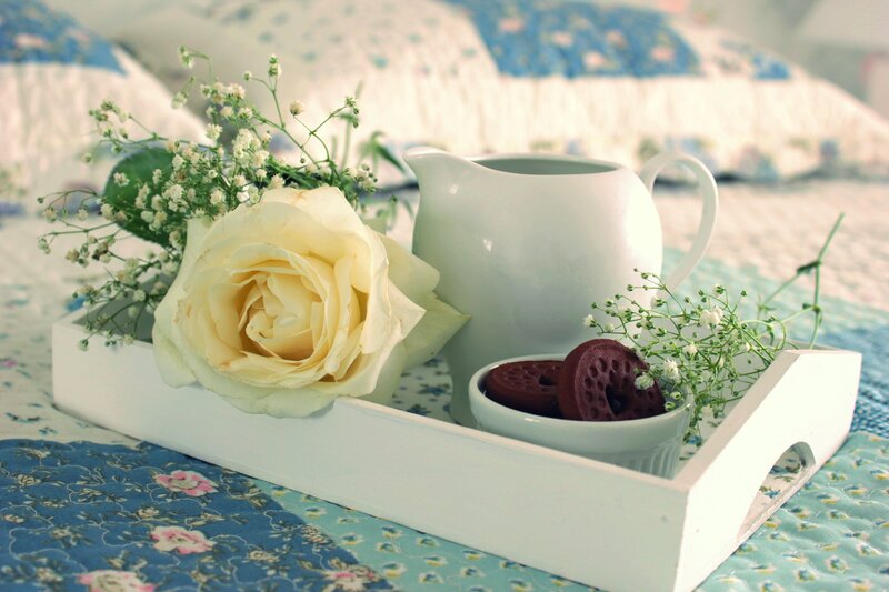 White Rose on Tray