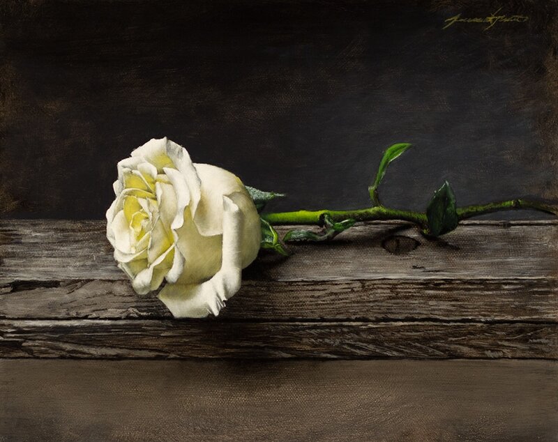 White Rose on Wood — Brown, Dramatic
