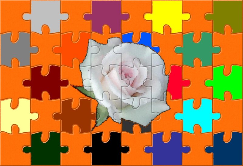 White Rose Puzzle
