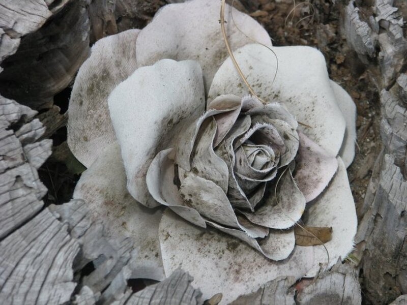 White Rose Sculpture — Somber