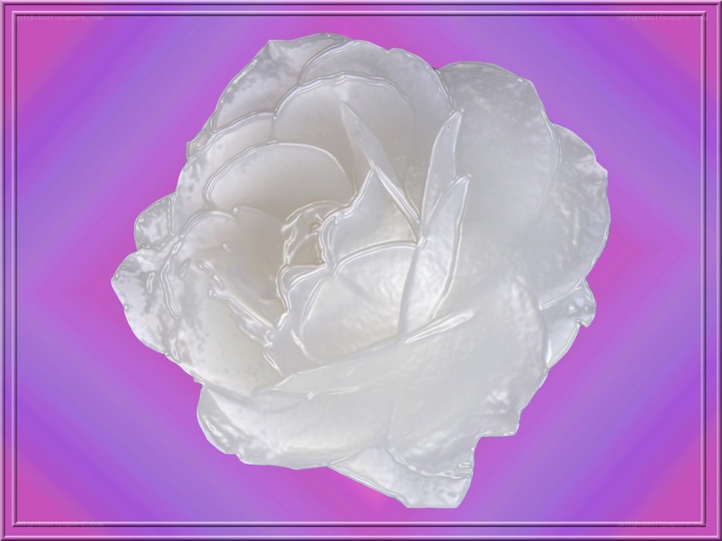 white rose sculpture
