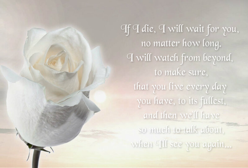White Rose