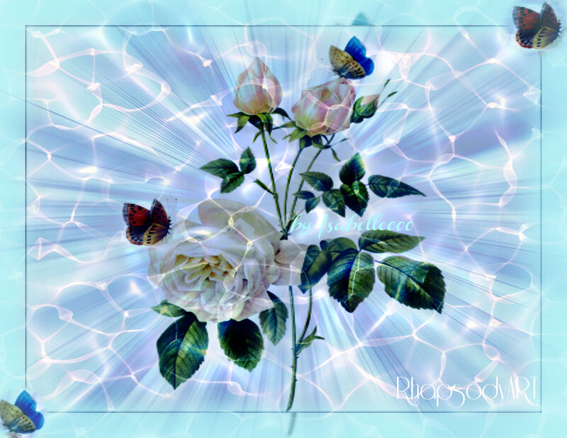 White Rose with Butterflies — Blue