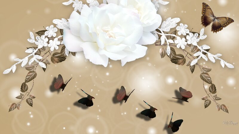 White Rose with Butterflies