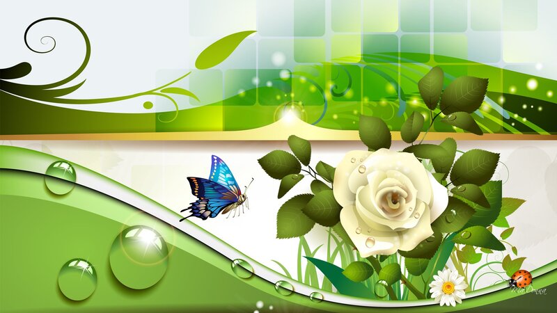 White Rose with Butterfly — Green