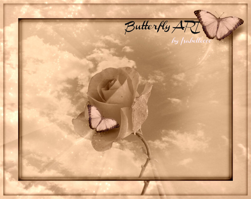 White Rose with Butterfly — Sepia