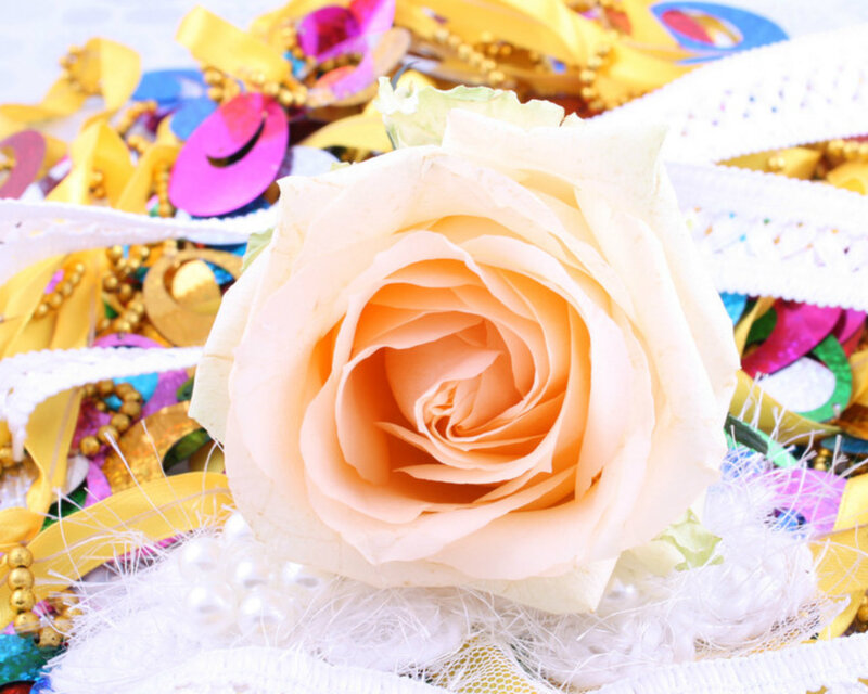 White Rose with Confetti