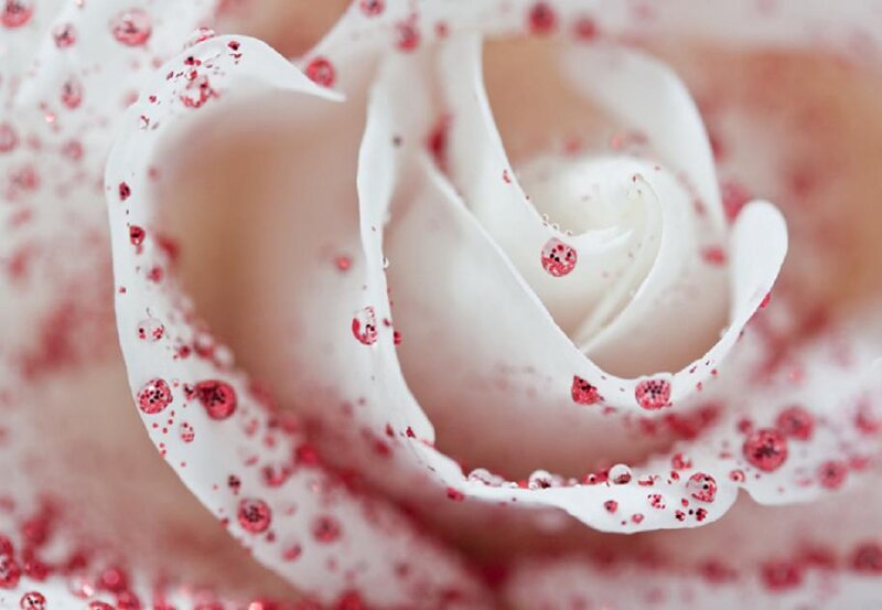 White Rose with Glitter