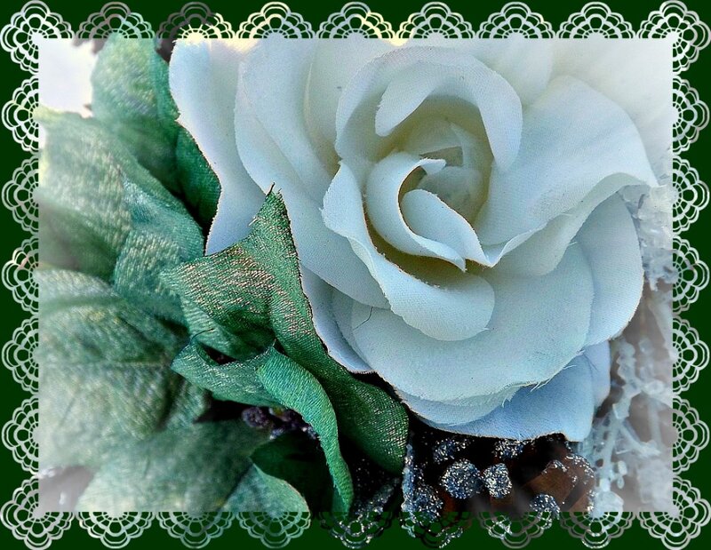 White Rose with Green Leaves — Calm