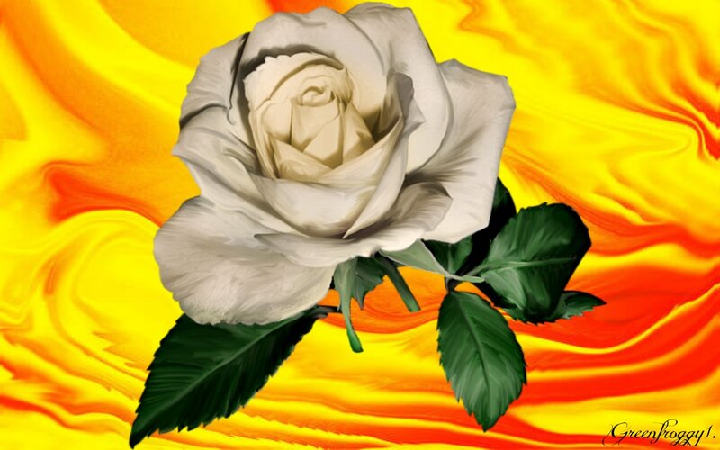 White Rose with Green Leaves — Yellow