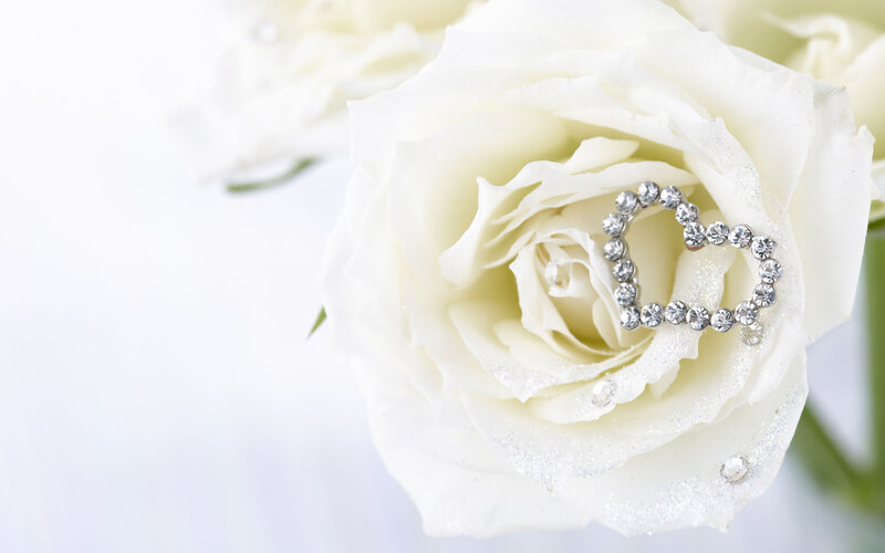 White Rose with Heart Brooch — Serene, Photograph