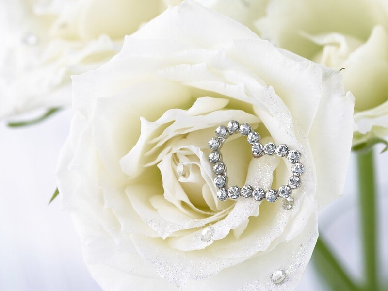 White Rose with Heart Brooch — Serene