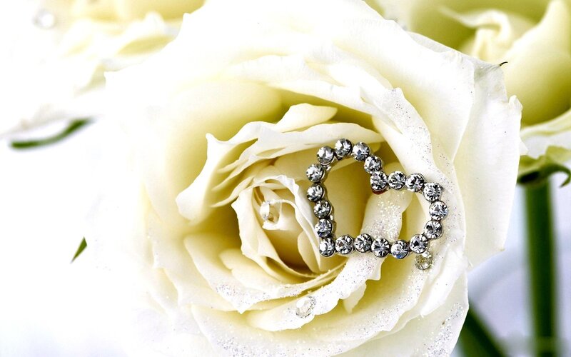 white rose with heart brooch