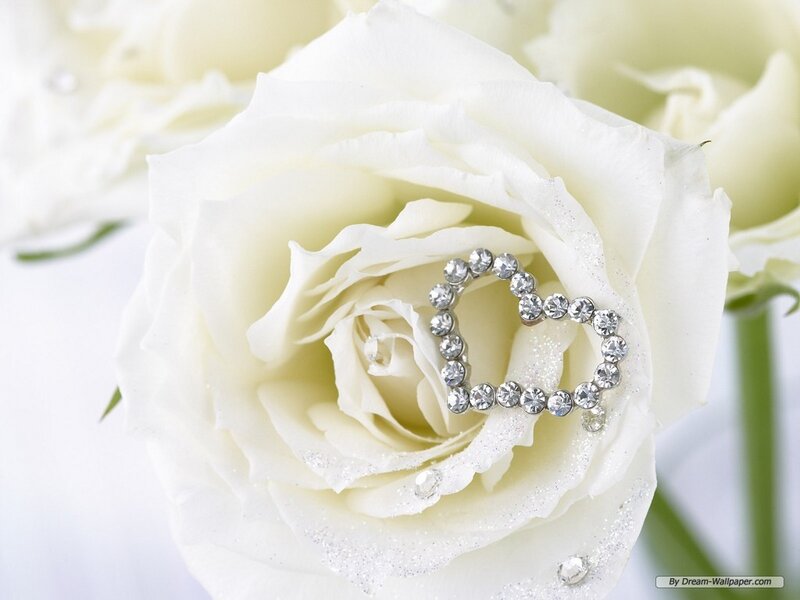 White Rose with Heart