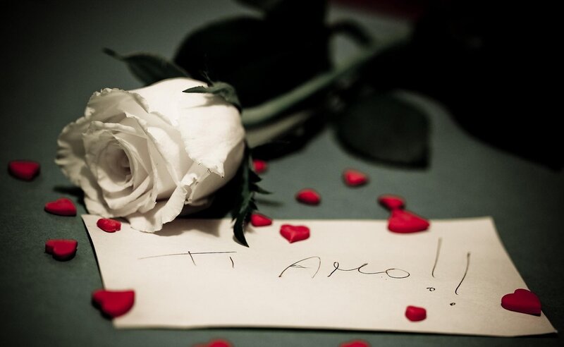 White rose with love note