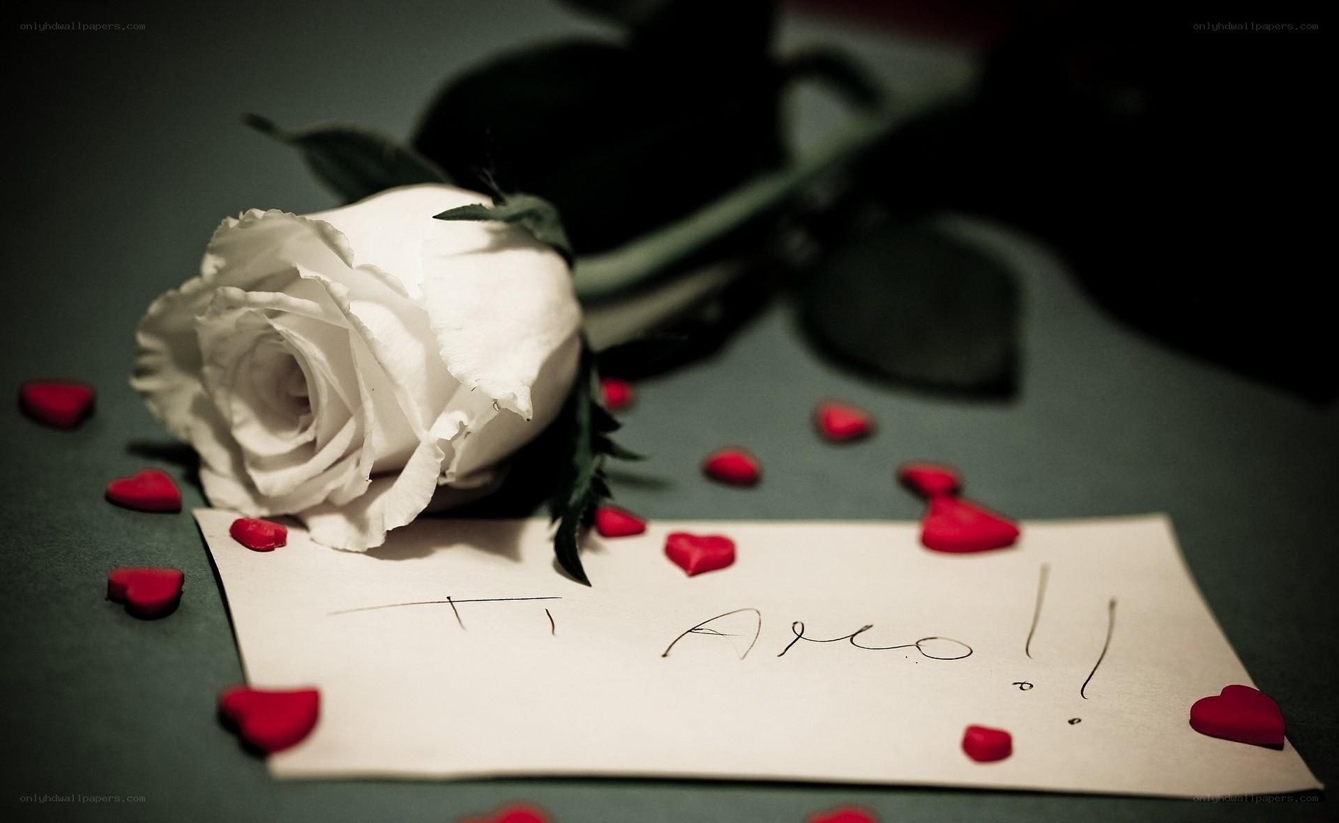 White rose with love note