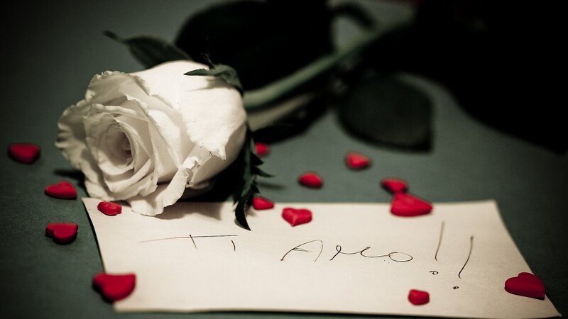 White Rose with Note — Romantic