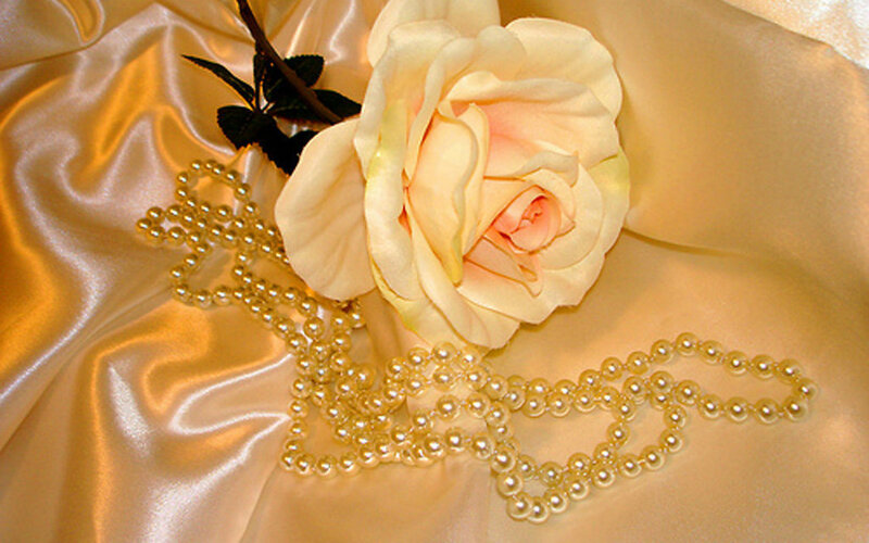 White Rose with Pearls — Cream