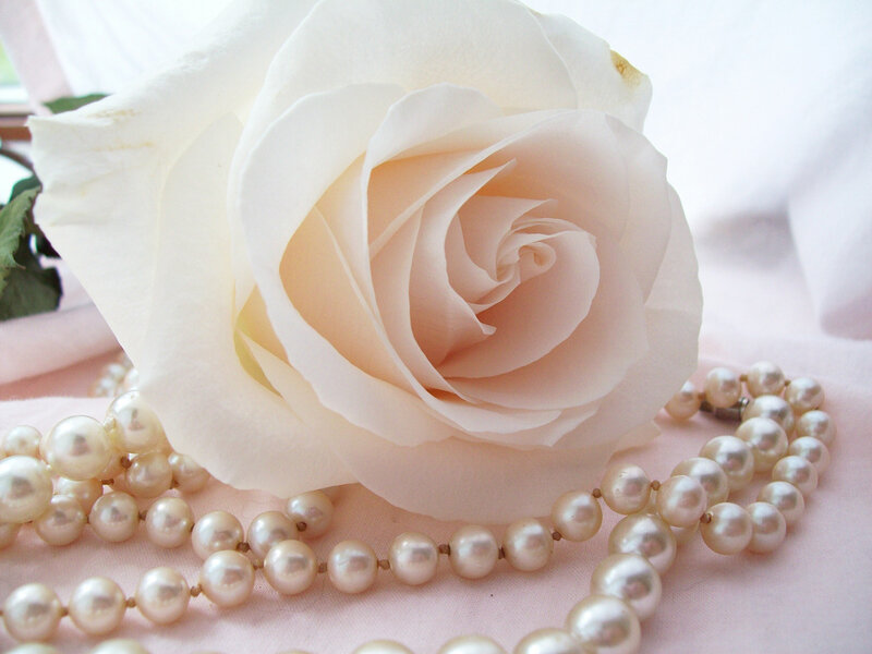 White Rose with Pearls