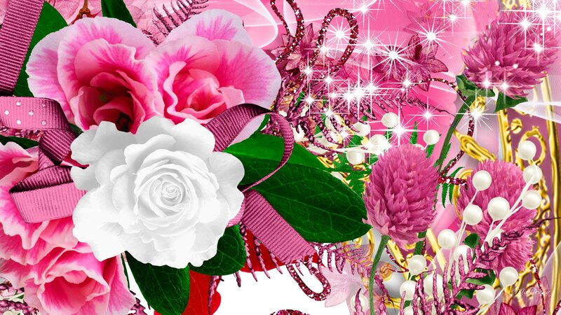 White Rose with Pink Flowers