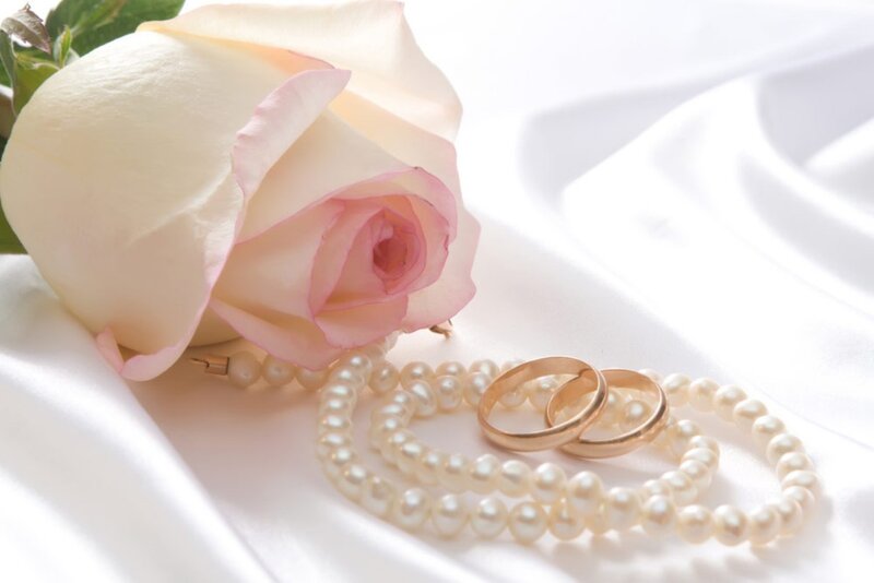 White Rose with Rings