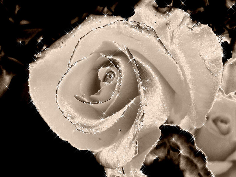 White Rose with Sparkles — Beige
