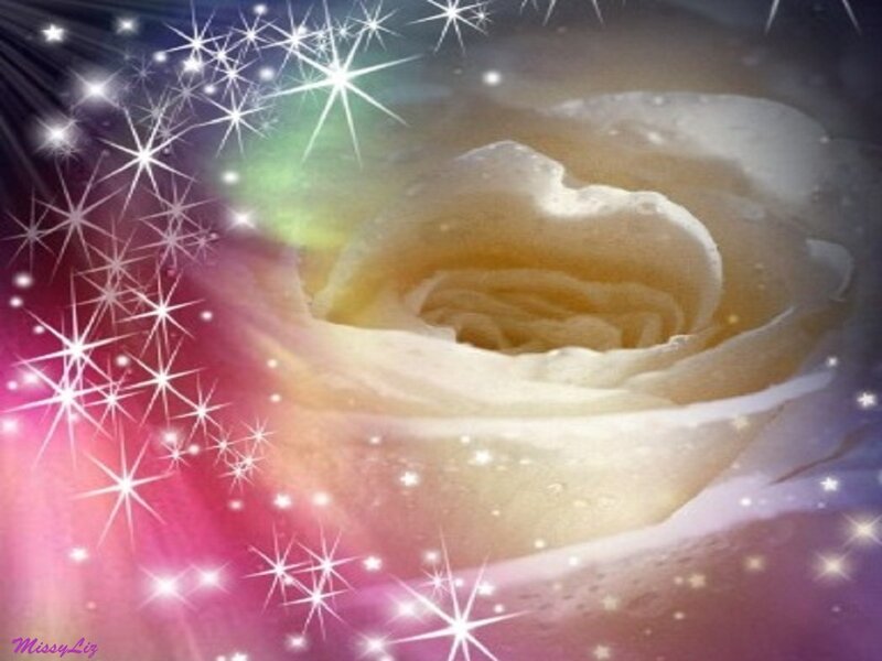 White Rose with Sparkles — Pink
