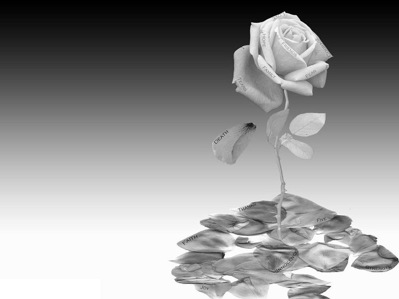 White Rose with Text — Black