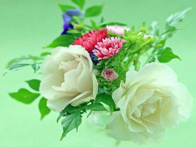 White Roses and Asters
