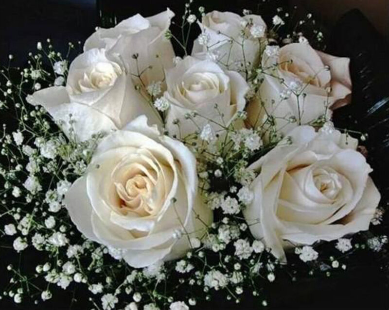 White Roses and Baby's Breath — Calm