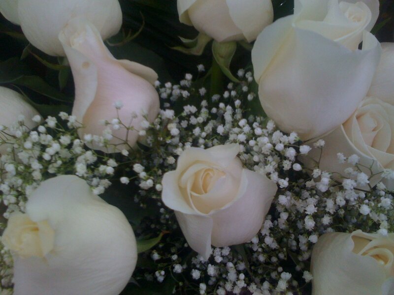 white roses and baby's breath