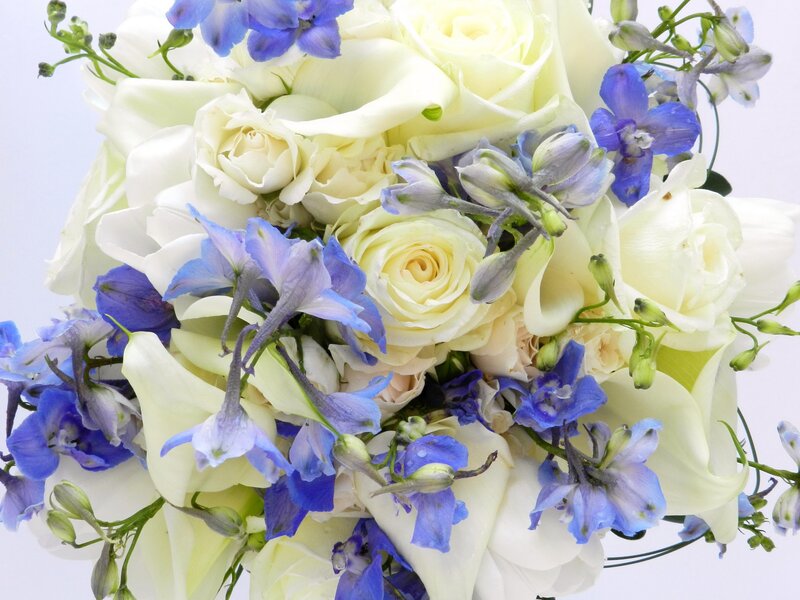 White Roses and Blue Delphiniums