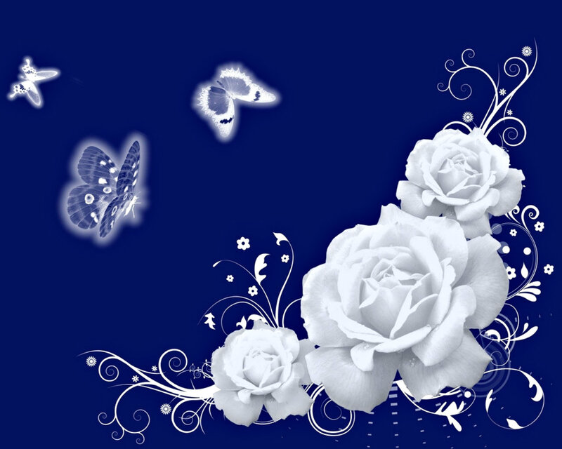 White Roses and Butterflies — Blue