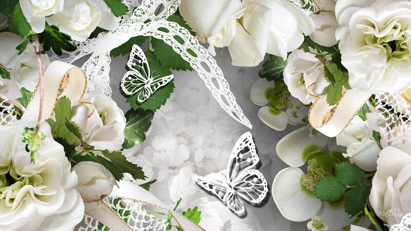 White Roses and Butterflies — Elegant