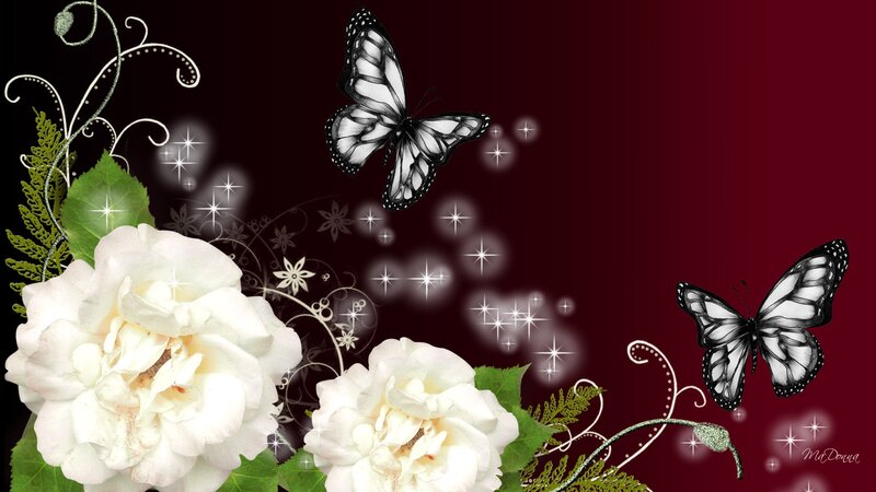 White Roses and Butterflies — Maroon