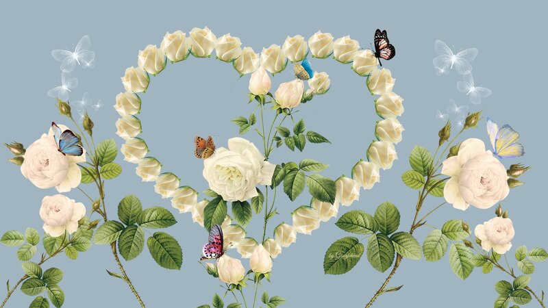 White Roses and Butterflies — Serene, Illustration