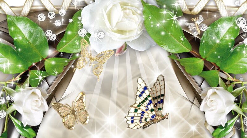 White Roses and Butterflies
