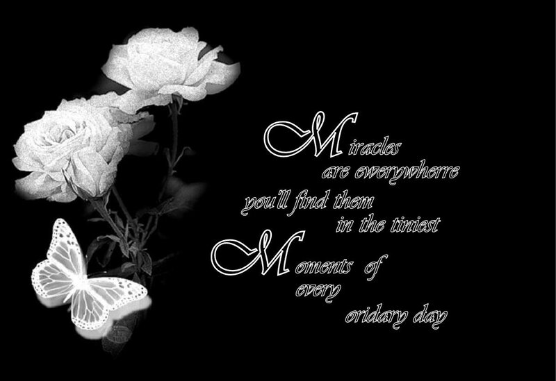 White Roses and Butterfly — Black, Serene