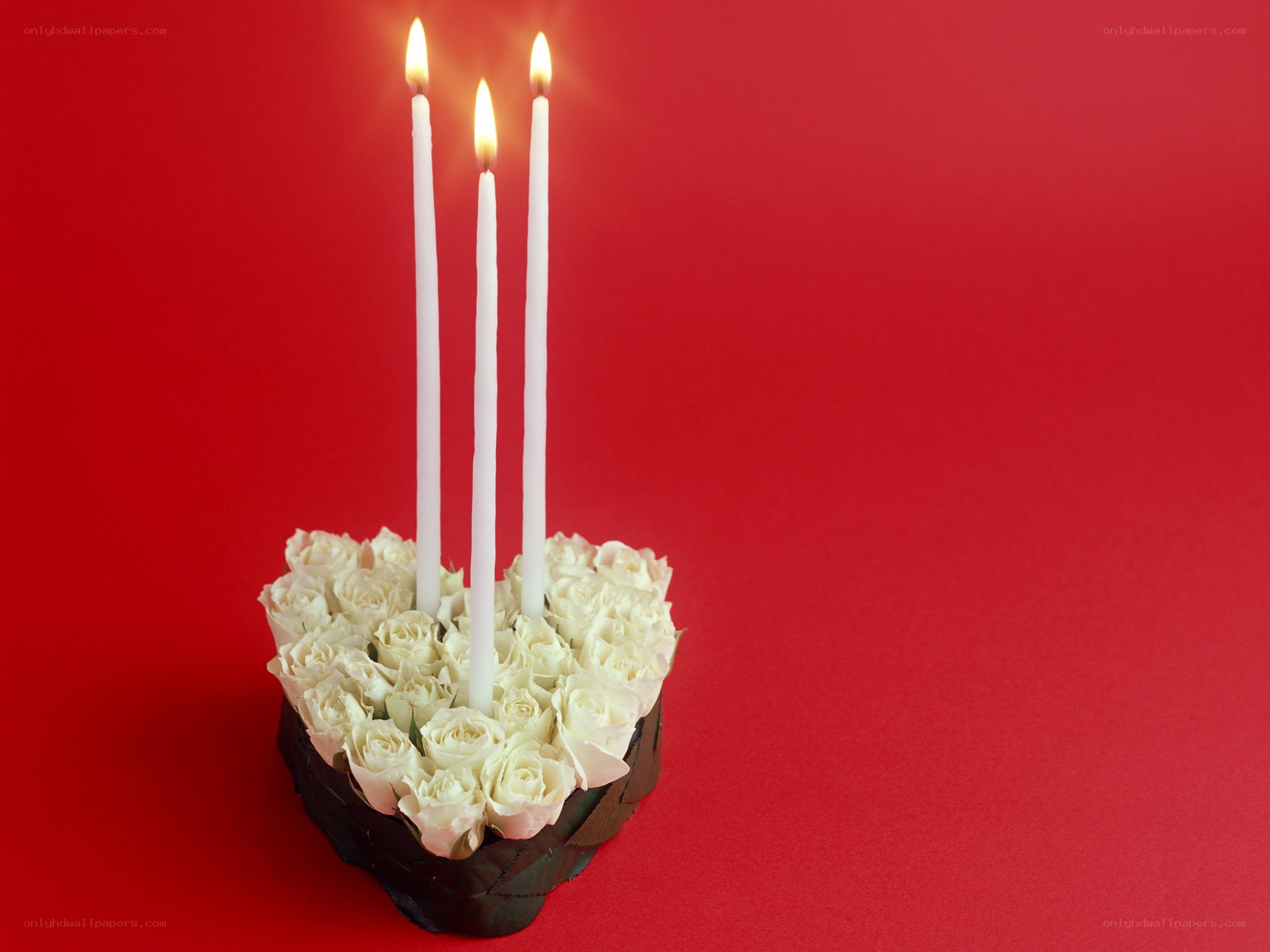 white roses and candles