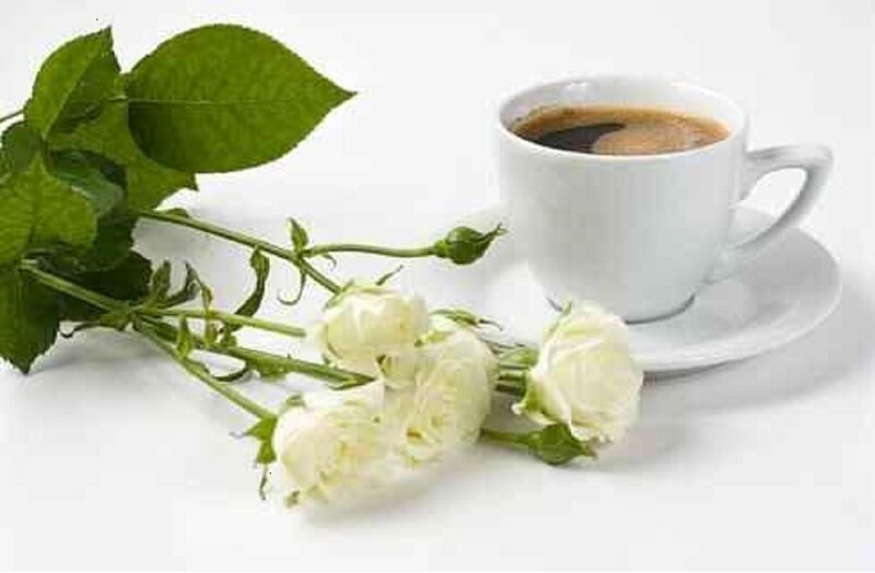 White Roses and Coffee Cup