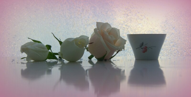 White Roses and Cup