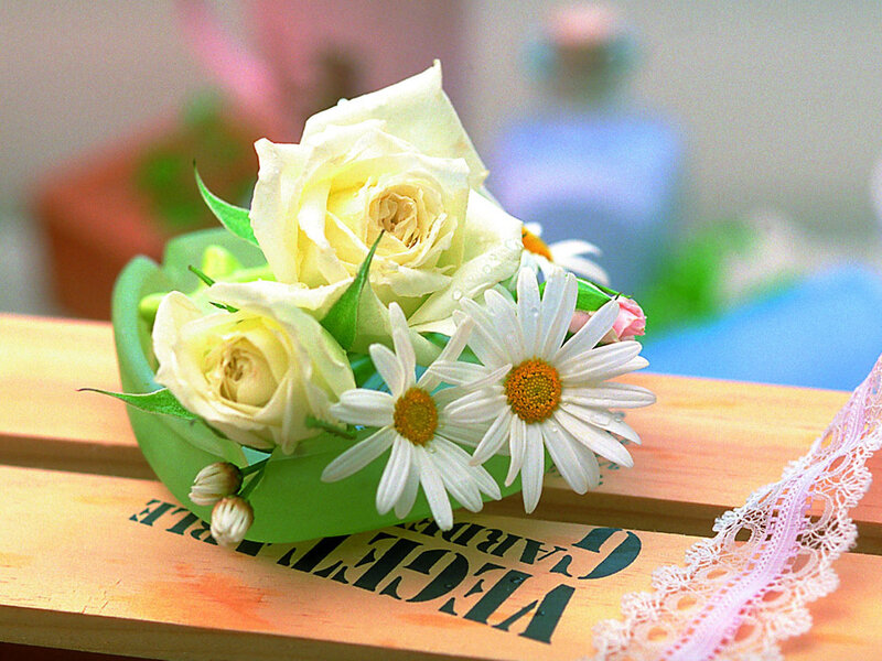White Roses and Daisies — Calm, Photograph