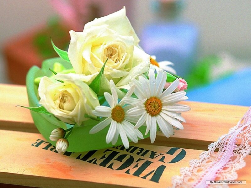 White Roses and Daisies — Calm