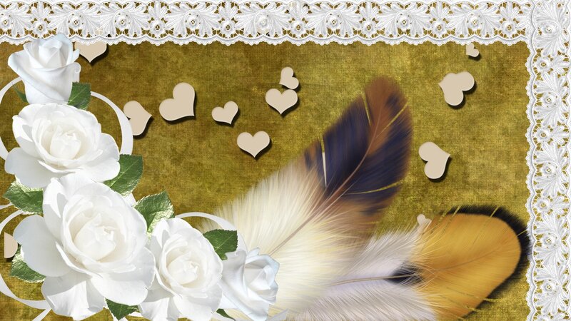 White Roses and Feather