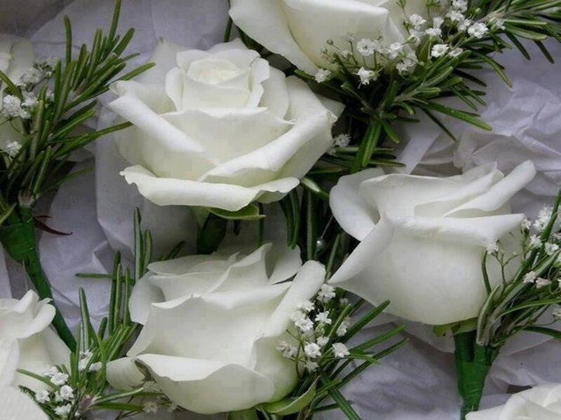 White Roses and Greenery