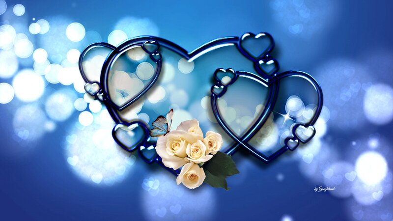 White Roses and Hearts — Blue