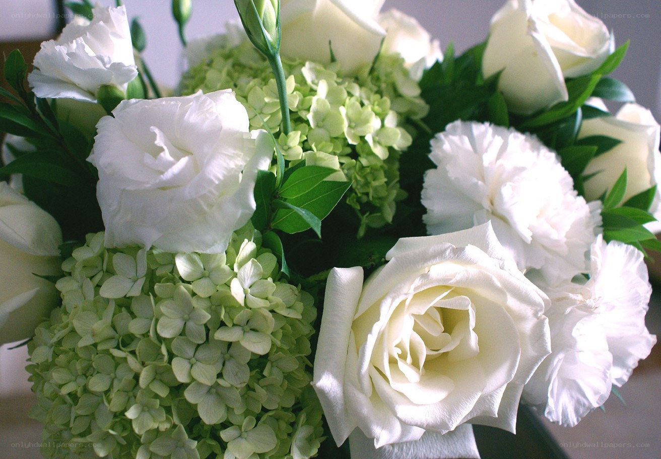 white roses and hydrangeas bouquet